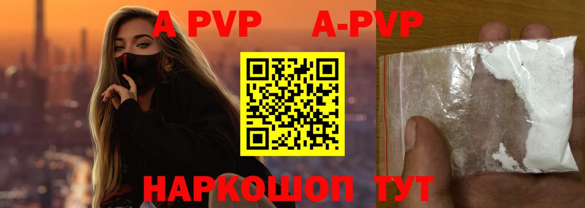 Alfa_PVP СК Грозный