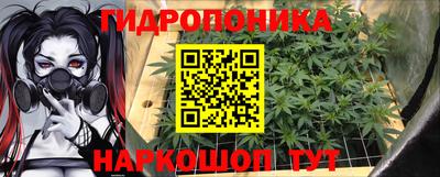 шишки Мариинск