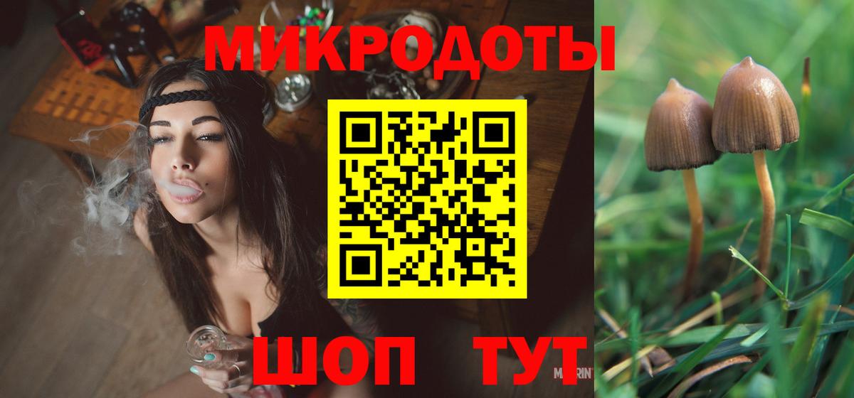 Грозный  Псилоцибиновые грибы ЛСД  Вход с VPN 